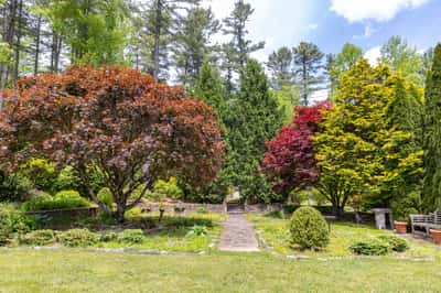 Picturesque landscape featuring vibrant foliage and a stone pathway, perfect for outdoor relaxation and gatherings.
