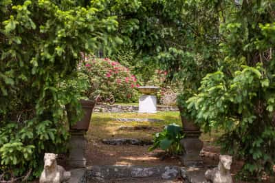 Discover a tranquil garden oasis, featuring lush greenery and a picturesque stone pathway leading to a fountain.