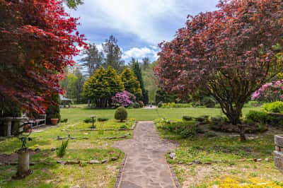 Discover a spacious outdoor oasis featuring vibrant landscaping, mature trees, and a picturesque path leading to tranquility.