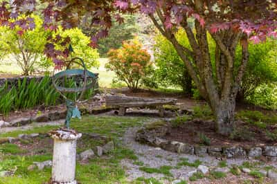 Lush garden with vibrant foliage, featuring a unique sculpture and winding pathways for a tranquil outdoor retreat.