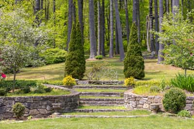 Lush greenery surrounds a beautifully landscaped garden with stone steps, inviting tranquility and nature's beauty.
