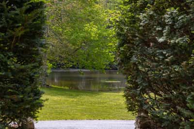 Discover a tranquil pond view framed by lush greenery, perfect for relaxation and outdoor enjoyment.