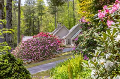 Nestled among vibrant blooms, this home offers a peaceful retreat surrounded by lush greenery and natural beauty.