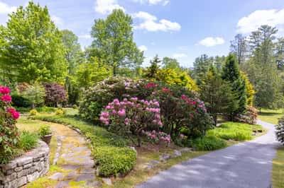 Discover a lush landscape featuring vibrant flowering shrubs, perfect for creating a tranquil outdoor retreat.