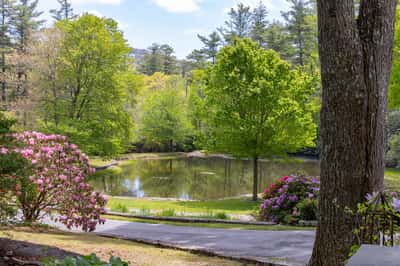 Discover a tranquil retreat with scenic pond views surrounded by lush greenery and vibrant flowering shrubs.