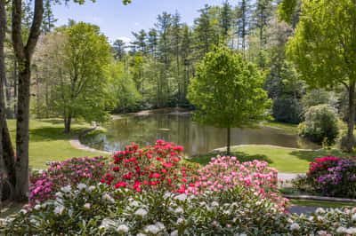 Tranquil retreat featuring vibrant gardens and a peaceful pond, ideal for nature lovers and relaxation.