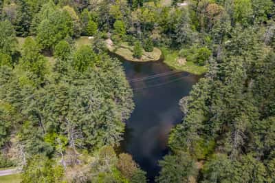 Discover this picturesque property featuring a tranquil pond surrounded by lush greenery and mature trees.