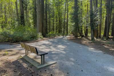 Centennial Park