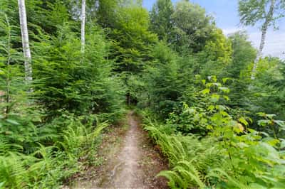 33 Indian Point Road, Hebron, NH
