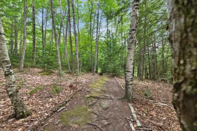 33 Indian Point Road, Hebron, NH