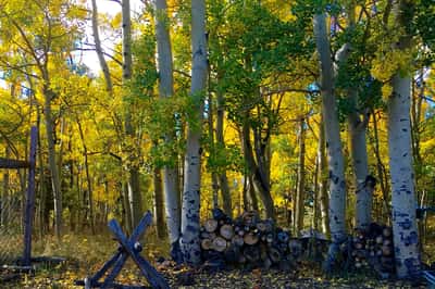 1456 Highpoint Cir, Black Hawk, CO