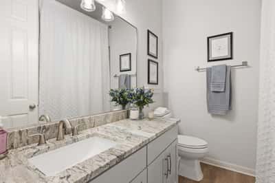 5301 Cardinal Flower Cv, Spicewood, TX
