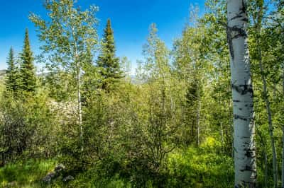 921 Faraway Road, Snowmass Village, CO