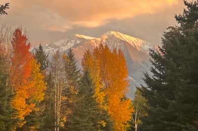 38 Diamond A Ranch Road, Carbondale, CO