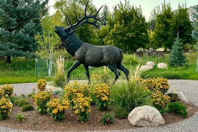 38 Diamond A Ranch Road, Carbondale, CO