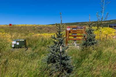 Grassy Creek, Steamboat Springs, CO