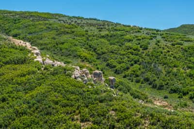 Grassy Creek, Steamboat Springs, CO
