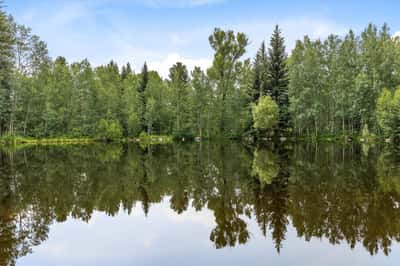 1184 Anglers Drive, Steamboat Springs, CO