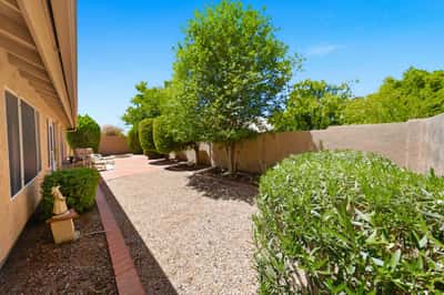 Well-maintained side yard with mature trees and desert landscaping enhances the outdoor appeal and privacy of this thoughtfully designed Peoria property.