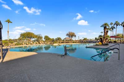 Surrounded by palm trees, shaded gathering areas, and lounge seating, this impressive community pool delivers a resort-style experience that complements the Goodyear lifestyle.