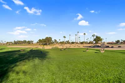 Expansive green fairways, mature trees, and open recreational spaces provide beautiful views throughout the community. Enjoy the peaceful atmosphere and exceptional outdoor amenities.