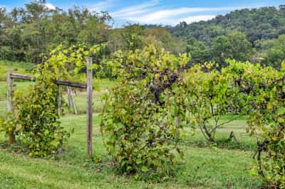 9065 Clay Pike Road, Chandlersville, OH