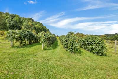 9065 Clay Pike Road, Chandlersville, OH