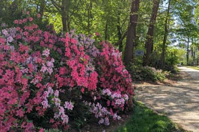 1071 Gum Thicket Rd, Gwynn, VA