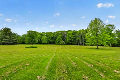 Spacious, open lot surrounded by lush greenery, perfect for creating your dream home or retreat.
