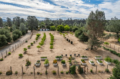 15170 China Rapids Drive, Red Bluff, CA