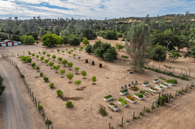 15170 China Rapids Drive, Red Bluff, CA