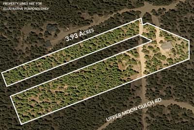 1301 Upper Moon Gulch, Rollinsville, CO