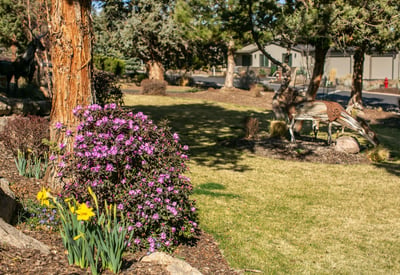 10258 Sundance Ridge Loop, Redmond, OR