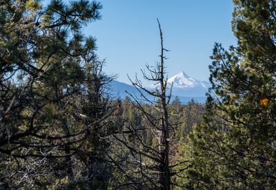 64837 Collins Road, Bend, OR