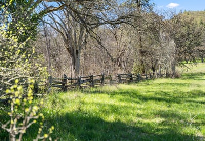 Buckhorn Road #1000, Ashland, OR