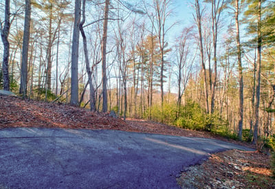 138 Lucius Lane, Cherry Log, GA