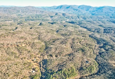 138 Lucius Lane, Cherry Log, GA