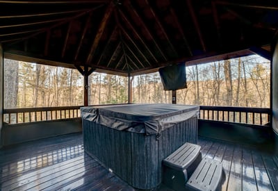 138 Lucius Lane, Cherry Log, GA