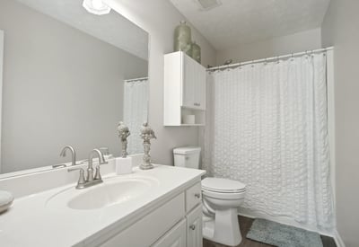 668 Sweetfern Lane, Sugar Hill, GA