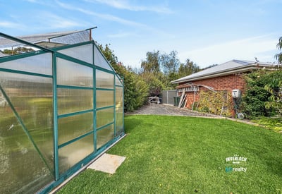 Spacious backyard featuring a functional greenhouse and plenty of room for gardening or outdoor activities.