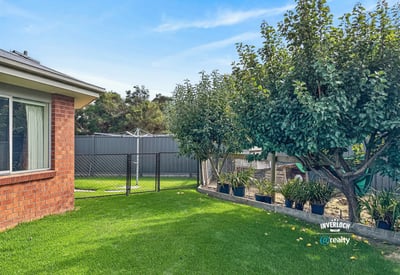 Spacious backyard featuring mature trees, lush grass, and ample room for gardening or outdoor activities.