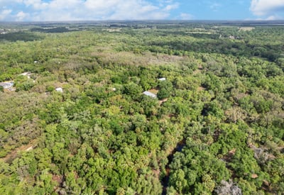 8096 SW Golden Glade Ave, Arcadia, FL