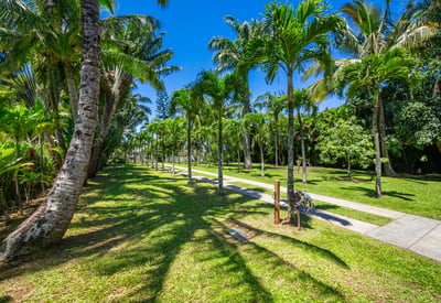 65 N Holokai Rd, Haiku, HI