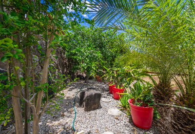 87-1126 Anaha St, Waianae, HI