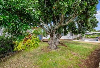 71 Kawananakoa Pl, Honolulu, HI
