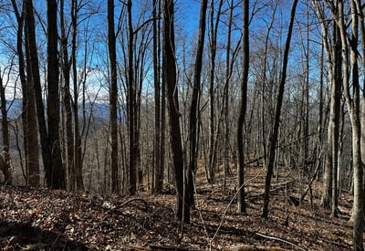 2223 Scarlet Ridge, Sylva, NC