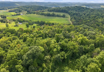 650 Phillis Road, Burgettstown, PA