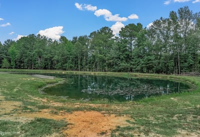 113 Antrim Rd, Plain Dealing, LA