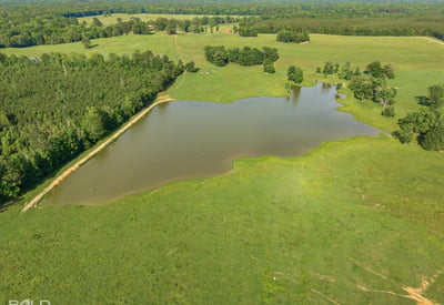 Expansive land featuring a picturesque pond, surrounded by lush greenery and ample space for development.