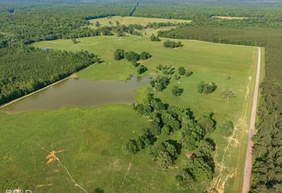 Spacious acreage featuring a picturesque pond, abundant greenery, and endless possibilities for development or leisure.